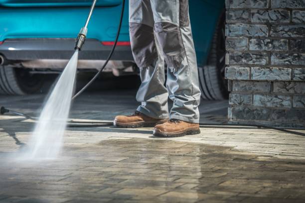 Best Building Exterior Washing  in Mila Doce, TX